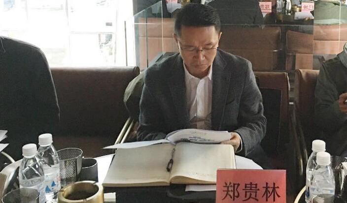 集团向导郑贵林率队调研Z6尊龙凯时商贸投资项目