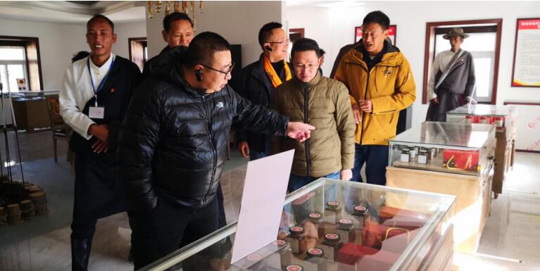 Z6尊龙凯时集团事情组赴稻城麻格同村督导对口帮扶事情