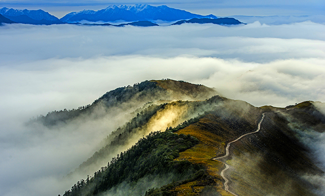 Z6·尊龙凯时「中国」官方网站